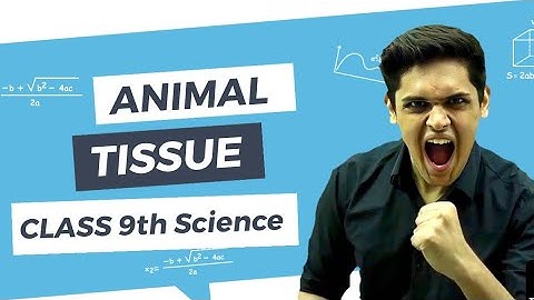 Animal Tissue | Class 9th Science | Chapter 6 Tissue