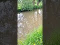 Float Fishing For Carp #fish #fishing #shortsvideo