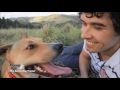 Best Dog Training Classes Carmel Best Dog Training Classes Carmel
