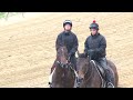 Derby Winner Orb Settling in at Pimlico
