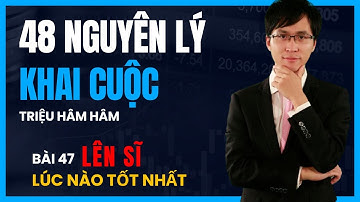 Triệu Hâm Hâm - 48 Nguyên Lý Khai Cục - Bài 47 Lên Sĩ Lúc Nào Tốt Nhất
