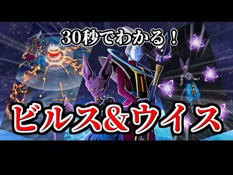 【ドッカンバトル】30秒で分かるビルス＆ウイス【比較】
