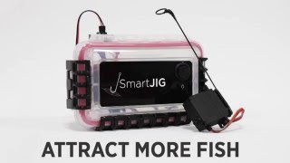 SmartJig Automatic Jigging System