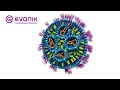 How lipid nanoparticles safely deliver mRNA to human cells | Evonik