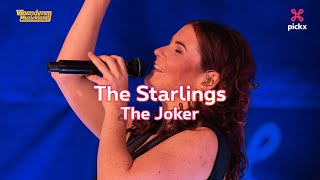 Vlaanderen Muziekland: The Starlings - The Joker