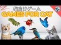 猫向け3Dゲーム 🎮 Cat TV 🐱 [Bird Flying Loop] | 3D HD フルエンターテインメント