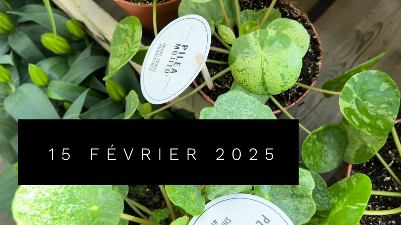 JARDILAND ARTIGUES ❤️