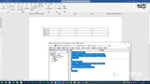 【转自B站孙兴华老师】【VBA视频合集】Word VBA教程 Excel VBA教程  P125 S04E23 表格的合并与拆分及插入行和列