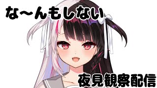 ⳹　なにもしないよ　⳼ 　よるみ観察配信　【夜見れな/にじさんじ】