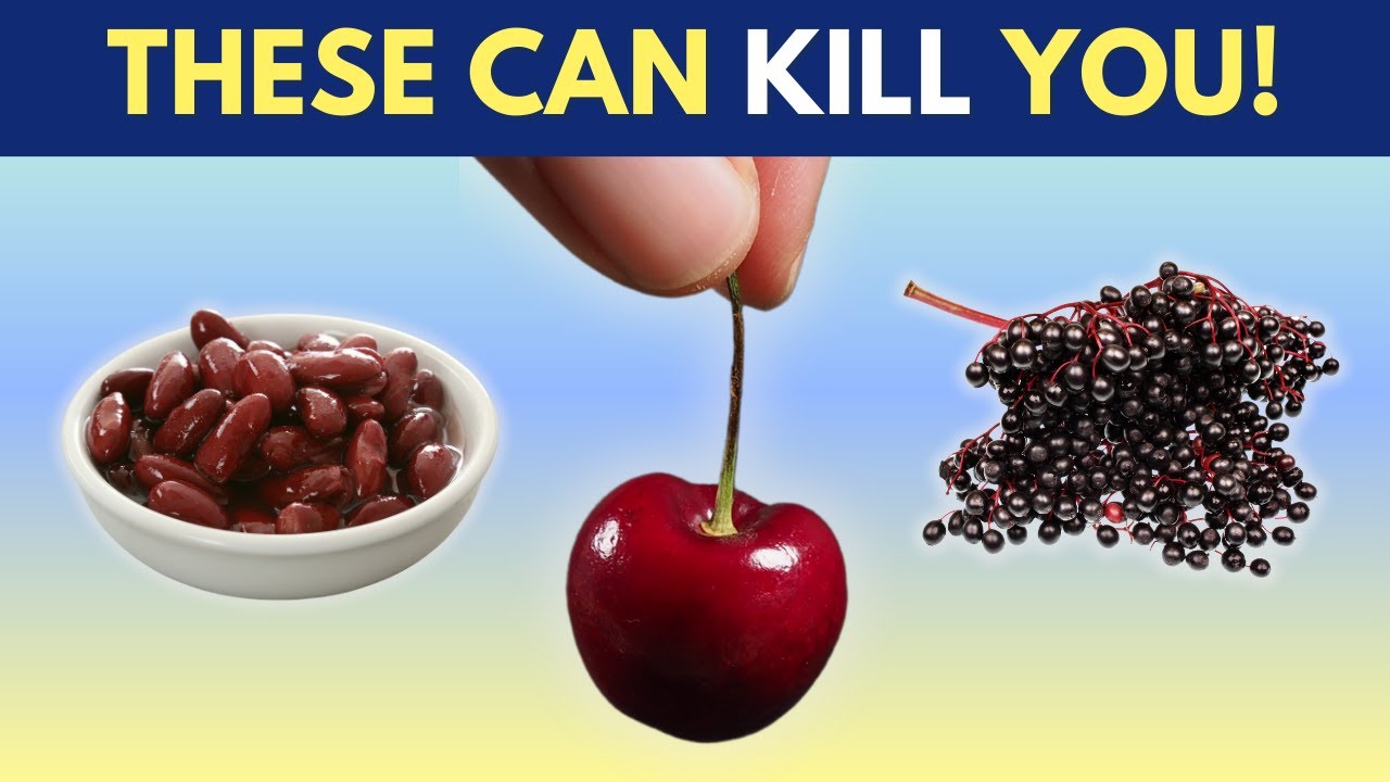 10 Common Foods You Didn't Know Could Kill You
