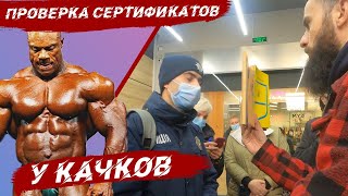 Проверка сертификатов у качков  в зале  | VOTUM