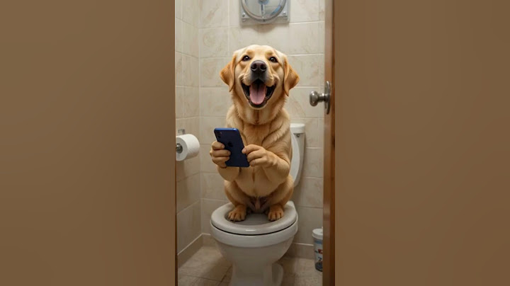 What happens, when you use phone in the toilet 😱#funny #cute #animals #comedy #love