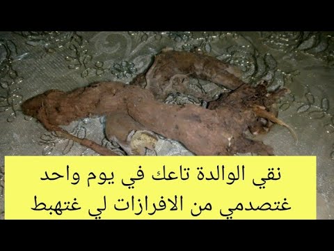 شربيها وشوفي العجب لي غيهبط من الوالدة ديالك (البرد وترسبات الحيض )غتهبط كلها