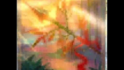 Dooley & Pyg - 3 run - Bazaar Livestream 2/3/25