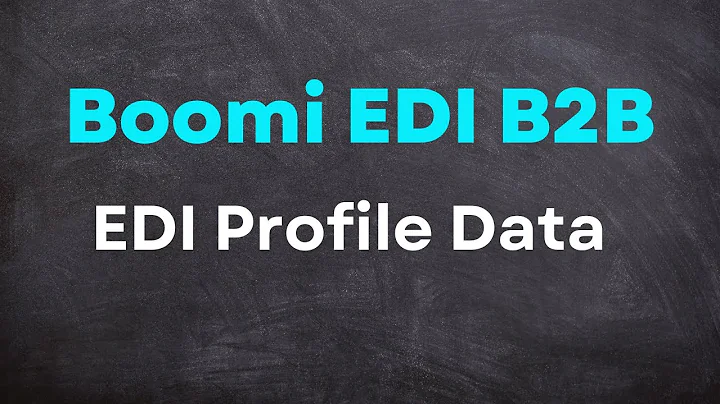 BOOMI EDI  B2B    EDI  Management  EDI Profile Data Options 4