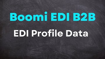 BOOMI EDI  B2B    EDI  Management  EDI Profile Data Options 4