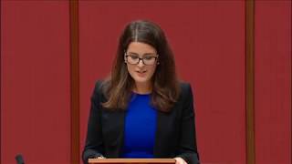 Senator Claire Chandler - Adjournment  Speech on Terrorism