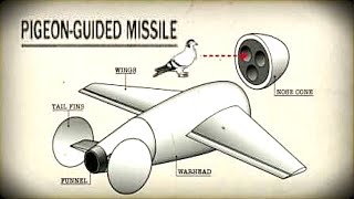 The Pigeon-Guided Missiles of WW II     |  Project Orcon | Unique Missile