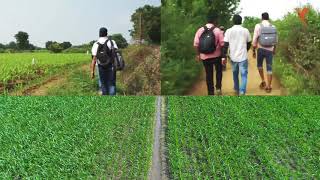 Drone Solutions For Agriculture In India A Case Study