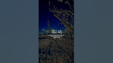 ﴿كتاب أنزلناه إليك مبارك ليدبروا آياته وليتذكر أولو الألباب﴾ سورة ص هاني الرفاعي