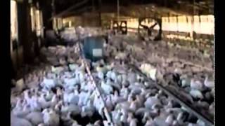 13.1. Земляне. (3 из7).mp4 13.1. Земляне. (3 из7).mp4