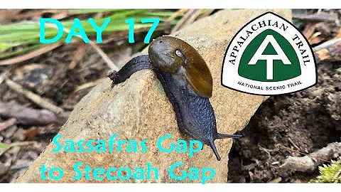 Day17 2024 Appalachian Trail Thru Hike. Sassafras Gap to Stecoah Gap in North Carolina.