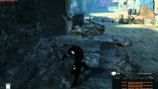Vindictus No Object Attack Glitch