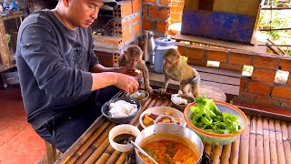 Download Lagu Sơn and BiBi ate a simple vegetarian meal together. MP3