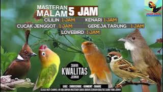 REQUEST MASTERING #22...5 JAM SETIAP BURUNG 30 MENIT -  CILILIN LOVEBIRD KENARI BURGER JENGGOT  JOSS