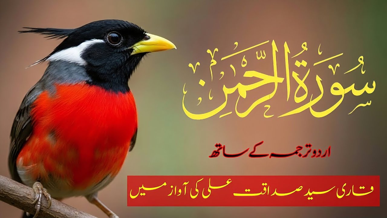 Surah Rahman with Urdu Translation | Soothing Quran Recitation | سورۃ الرحمن Full HD | 2026