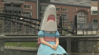 Shark Girl To Leave Cside For Two Months