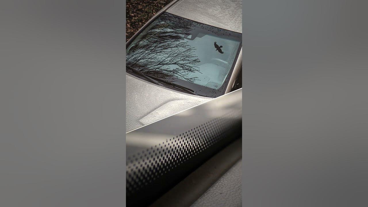 Here's Why Simple Dots on Windshields Help Your Car - YouTube