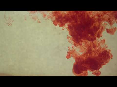 old-testament-|-the-first-plague---water-turned-to-blood