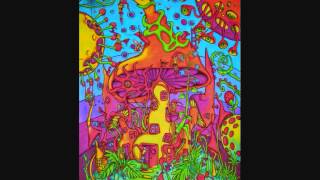 DRUMPITHECUS-ACID