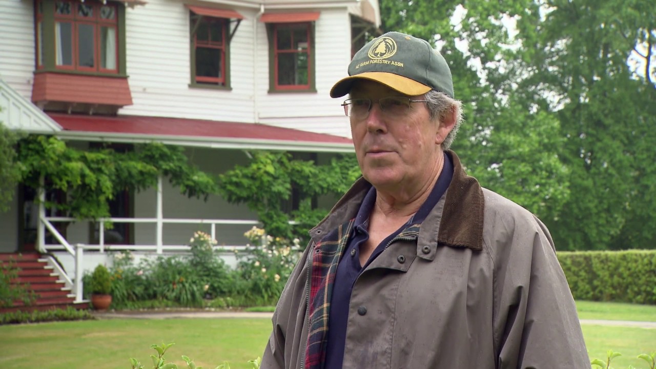 Farm Forestry at Kahotea