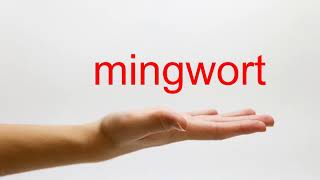 How to Pronounce mingwort - American English