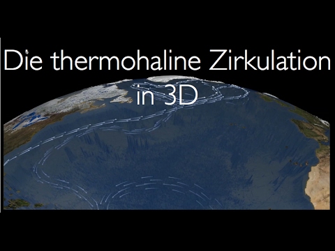 Die thermohaline Zirkulation in 3D @Marcohenner