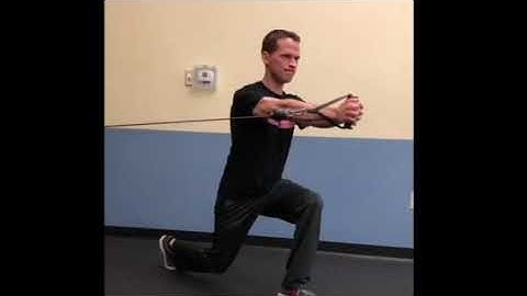 Isometric Split Squat Position Anti-Rotation