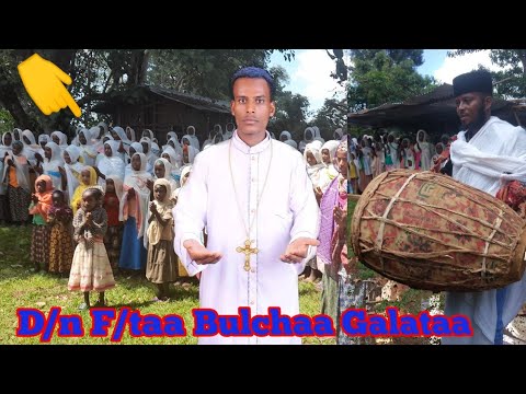 Faaruu Waltajjii FaarfataaD N Bulchaa Galataa Daawwadhaa 