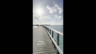 معرض حياة  البحر في المالديف