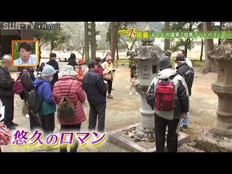 【HYOGOド密着】おとなの道草「但馬フットパス」