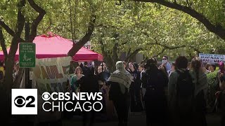 University of Chicago, DePaul join list of proPalestinian tent encampments