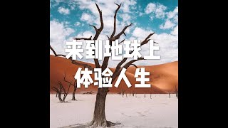 201812 来到地球上体验人生50965