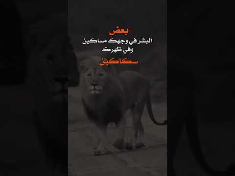 بعض البشر في وجهك مسكين وفي ظهرك سكاكين