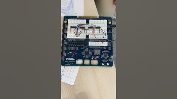 Majority Vote Project 12-7-21