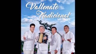 Video thumbnail of "6.La Golondrina - Vallenato Tradicional Vol.1"