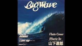 山下達郎 tatsuro yamashita『THE THEME FROM BIG WAVE』純音樂 伴奏 Flute Coverフルート長笛by So Ka Hing Mario 蘇家慶