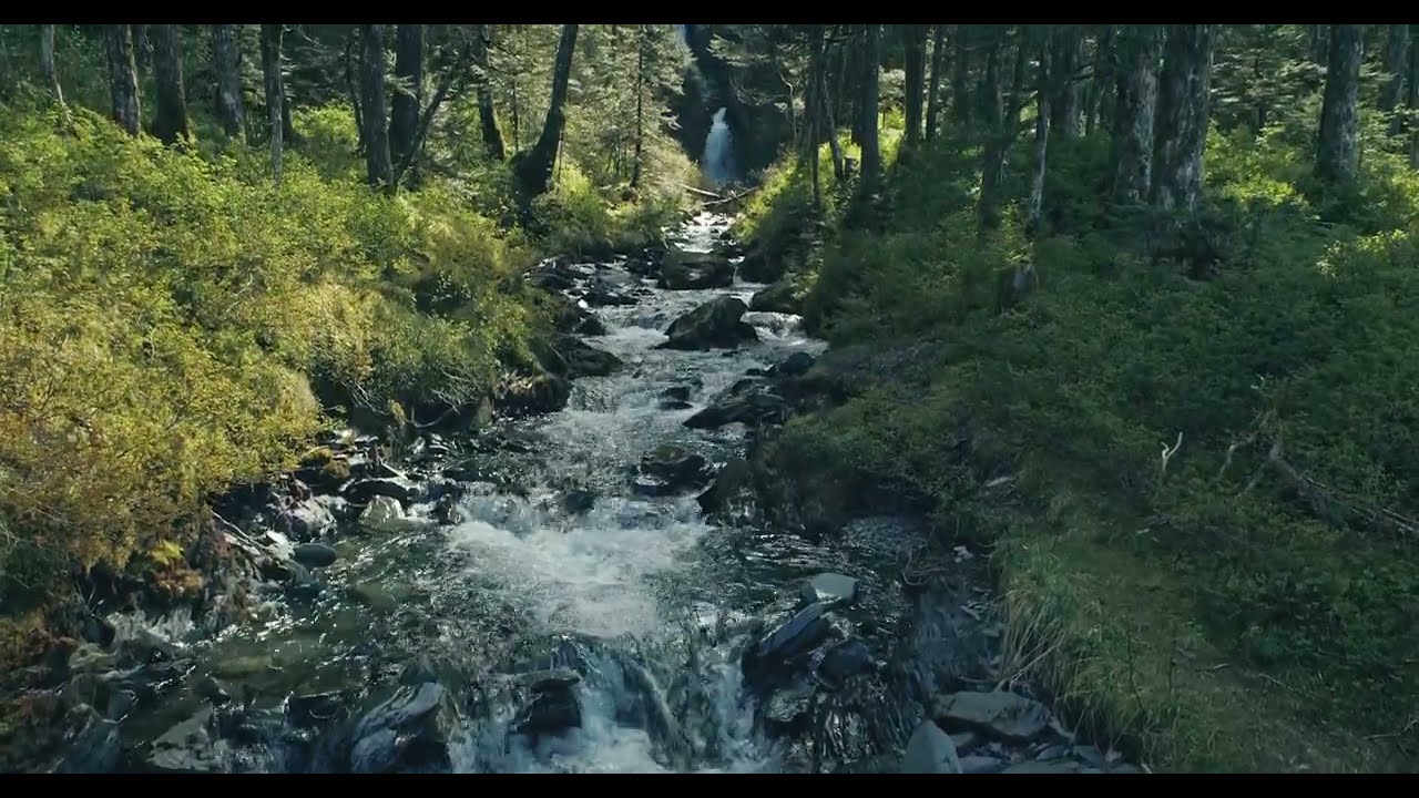 Micro Farma Natural Pharmaceuticals