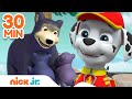 PAW Patrol BEST Snow Rescues! ❄️ | 30 Minute Compilation | Nick Jr.