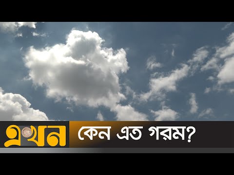 ভিডিও: সাভানা এত গরম কেন?